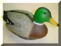 Duck11.jpg (42374 bytes)