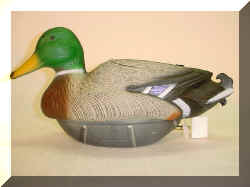DuckMallardDrake.jpg (36069 bytes)
