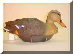 DuckMallardFemale.jpg (27879 bytes)