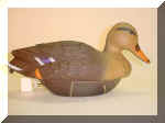 DuckMallardHen.jpg (27879 bytes)
