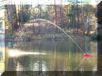 Fire06.jpg (39458 bytes)