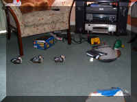 Duck13.jpg (44445 bytes)