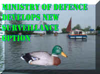 MockDuck2.jpg (147133 bytes)